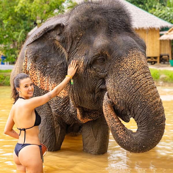 green elephant sanctuary phuket