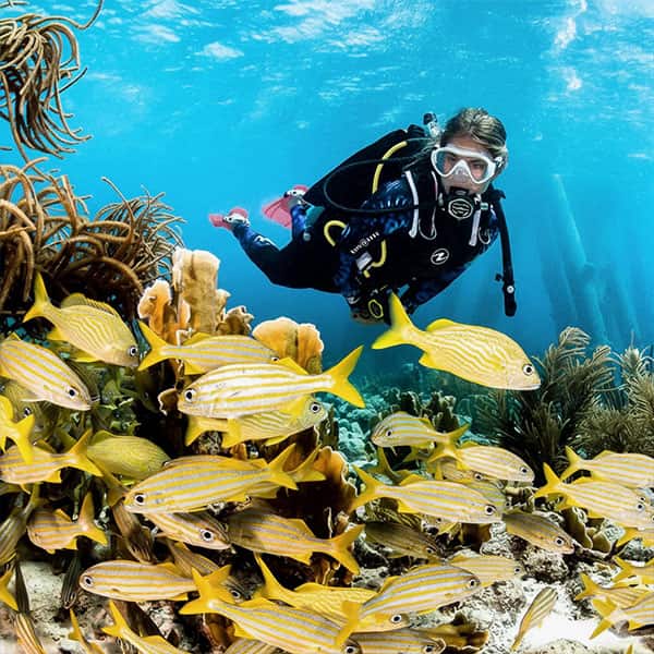 Scuba Diving Day Trip to Racha & Coral Island