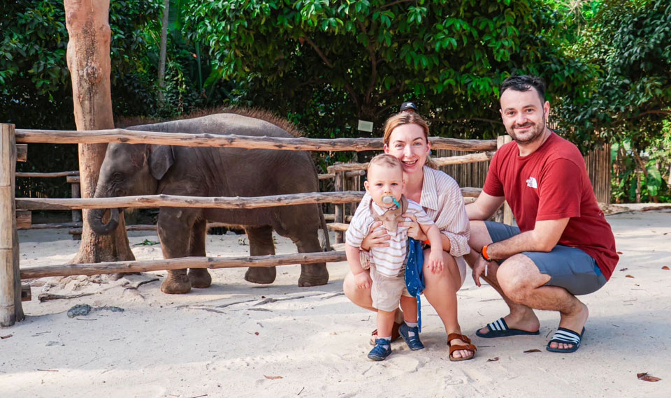 baby elephant at green elephant sanctuary park phuket