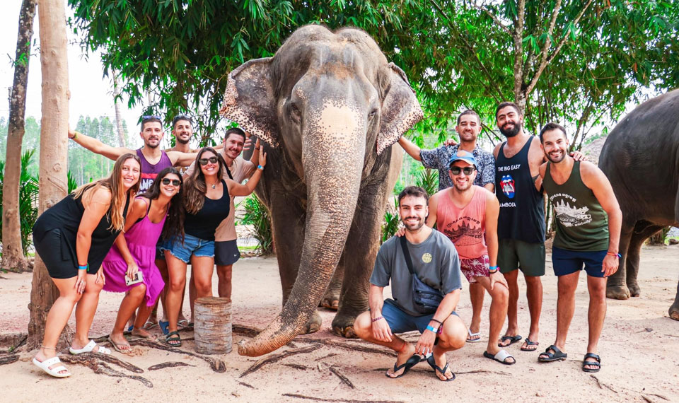 elephant tour phuket with bathing and mud spa