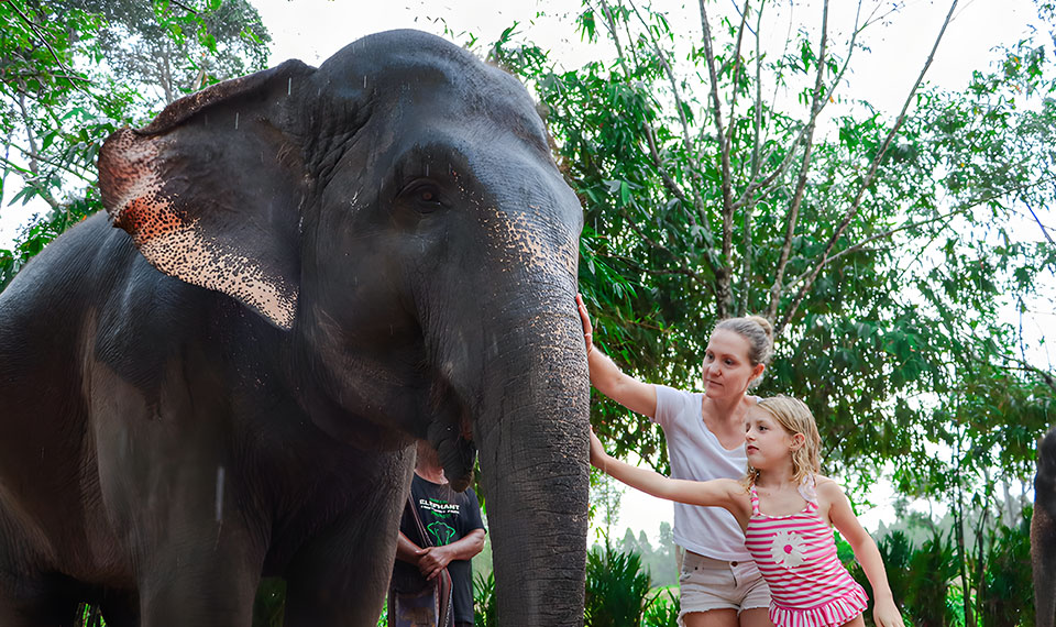 ethical elephant sanctuary phuket