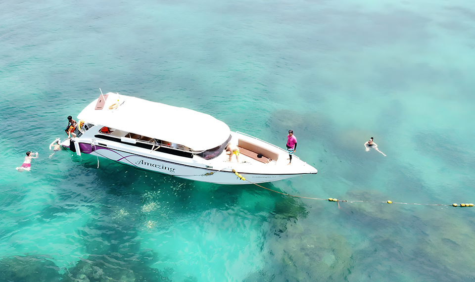phi-phi-maya-bay-speedboat-tour phi phi maya bay speedboat tour