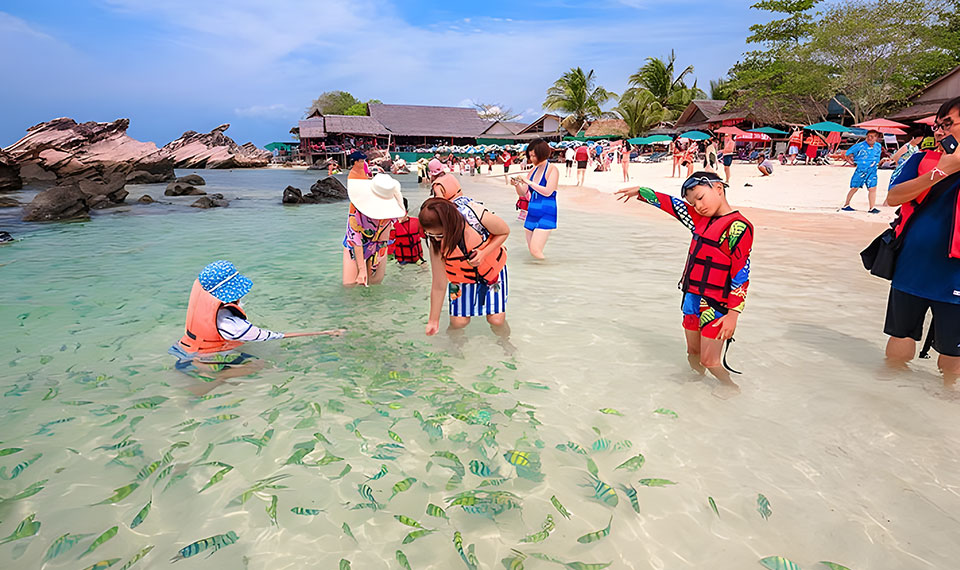 3-khai-islands-half-day-tour-from-phuket 3 khai islands half day tour from phuket