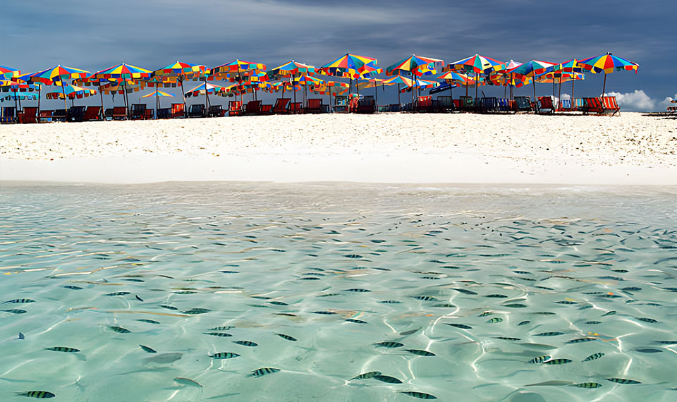 fish-at-khai-islands fish at khai islands