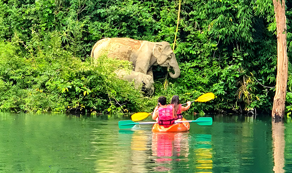 phuket to khao sok day trip