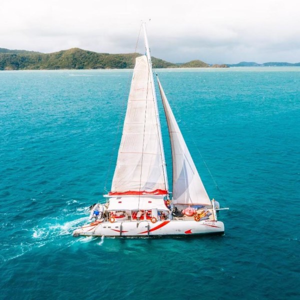 coral and raya island tour