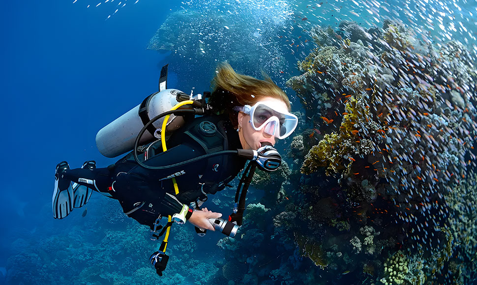 diving phuket tour